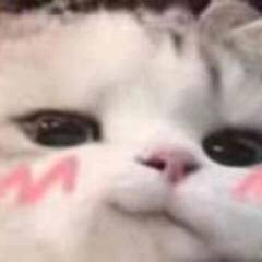 Yanke